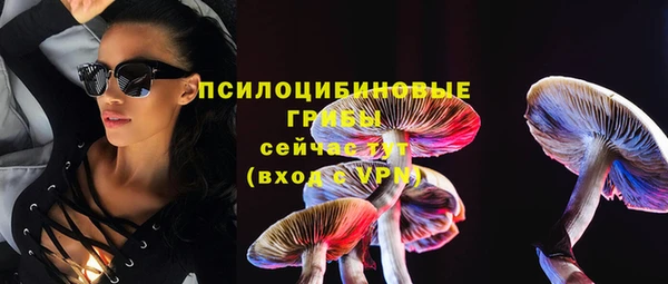 дживик Арсеньев
