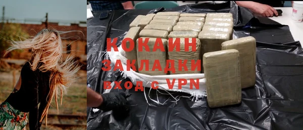 индика Новодвинск