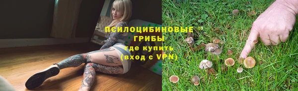 мет Аркадак
