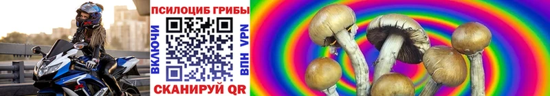 Псилоцибиновые грибы прущие грибы Малоархангельск